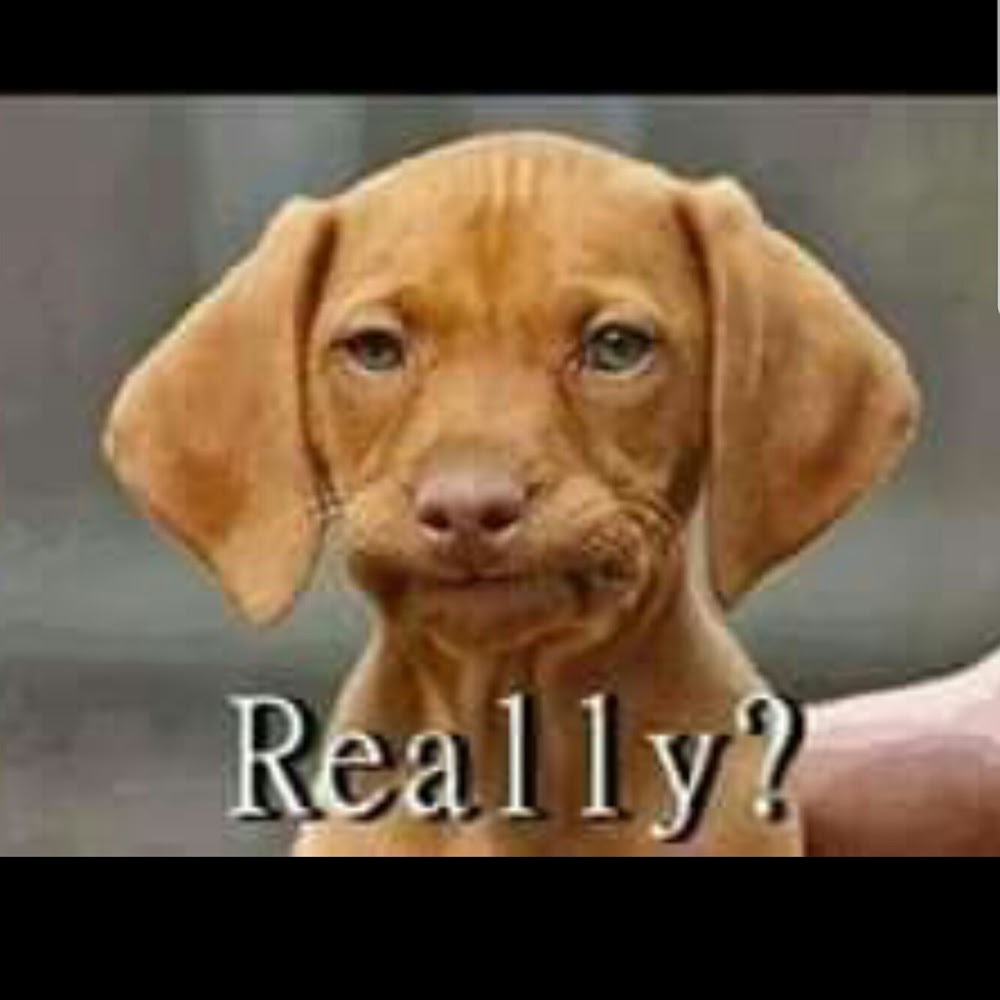 Meet your Posher, Valerie